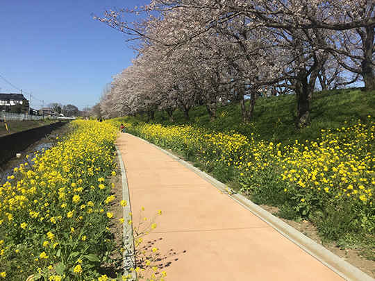 文覚川（景観性・歩行性）